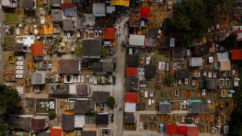 Por lo que Perdimos Bild 3