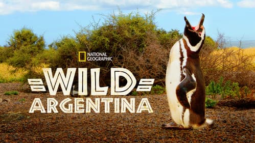 Wild Argentina Bild 8