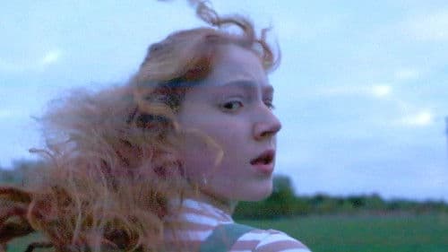 Woolgathering Bild 2