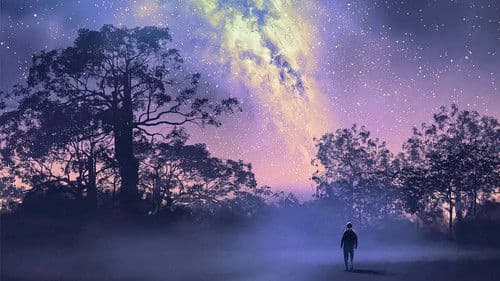 DER INNERE RUF Bild 2