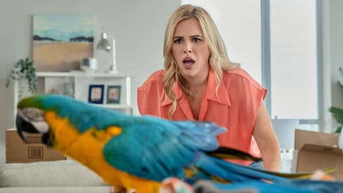 Fly Away With Me Bild 3