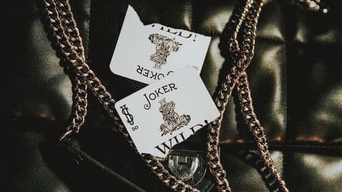 Lost in the Shuffle Bild 7