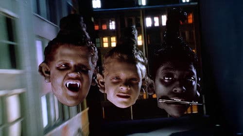 Shrunken Heads Bild 3