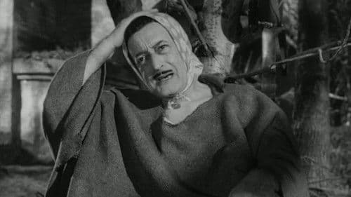 Totò e Carolina Bild 5