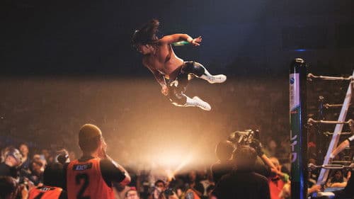 The Wrestlers Bild 1