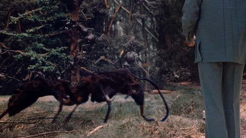 In der Gewalt der Riesenameisen Bild 7