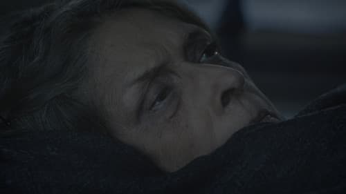 জোনাকি Bild 2