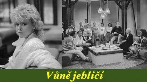 Vůně jehličí Bild 1