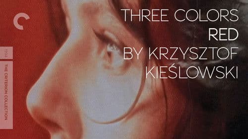 Drei Farben: Rot Bild 6