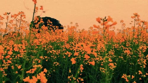 Slow Dancing on the Red Floor Bild 3