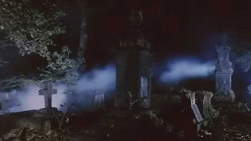 तहखाना Bild 6