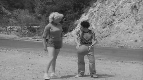 The Blonde Pick-Up Bild 2