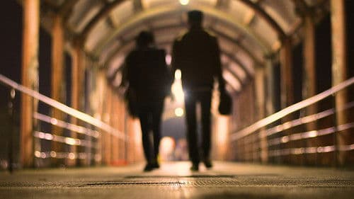 Just Like A Bird Bild 8