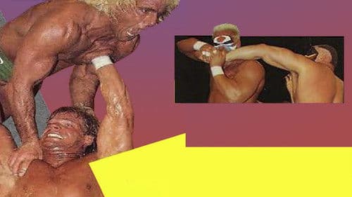 NWA Starrcade 1988 Bild 1