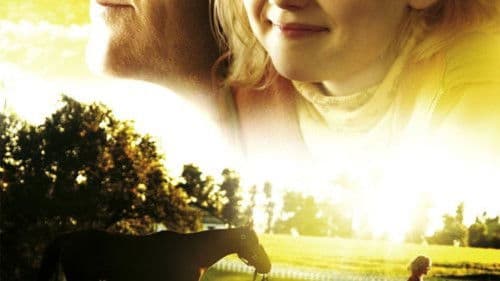 Dreamer - Ein Traum wird wahr Bild 6