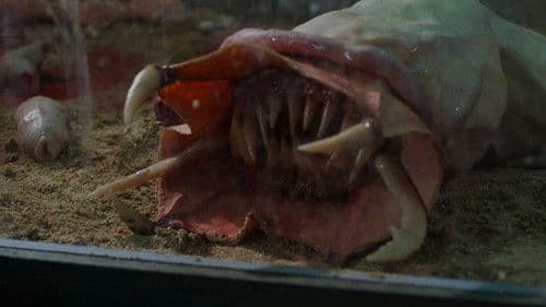 Kondom des Grauens Bild 4