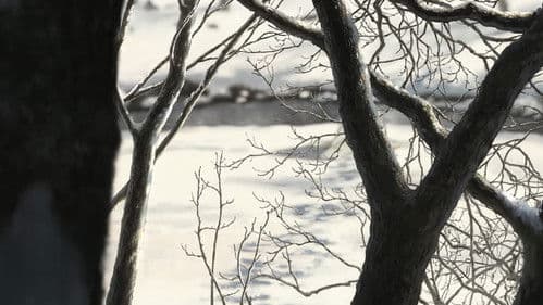 7FATES: CHAKHO Bild 2