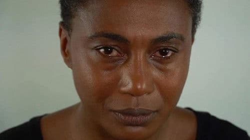 The Ulysses Project Bild 2