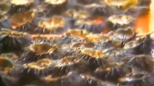 Coin de cuisine Bild 2