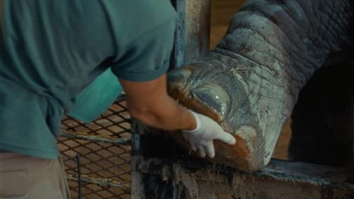 Monólogo colectivo Bild 3