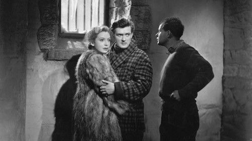 The Day Will Dawn Bild 2