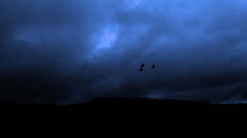 The Witches of Bagliegh Bild 1