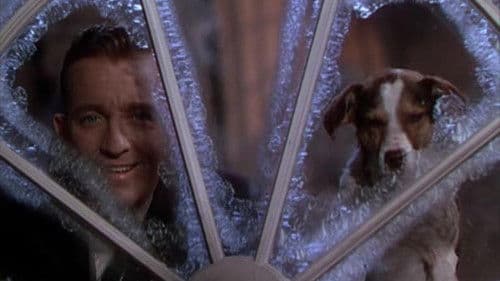 Ich küsse Ihre Hand, Madame Bild 1