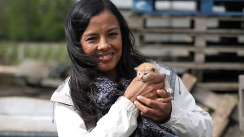 Cat Watch 2014: The New Horizon Experiment Bild 1