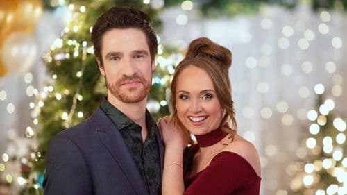 Max - Meine Weihnachtshilfe auf vier Pfoten Bild 3