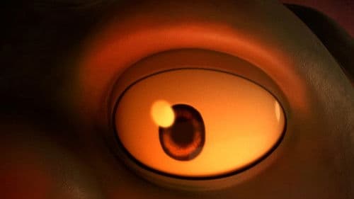 Les Sœurs Gringuette Bild 4