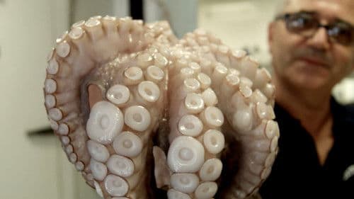 Food on the Go Bild 1