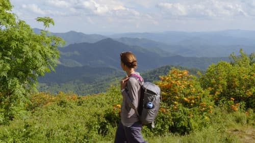 The River Runs On Bild 1