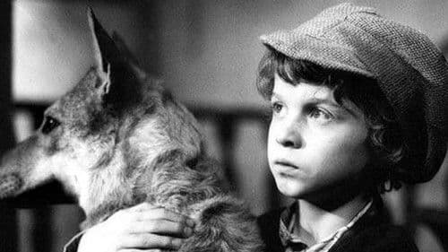 Pehavý Max a strašidlá Bild 2