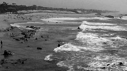 Miramar, Praia das Rosas Bild 1