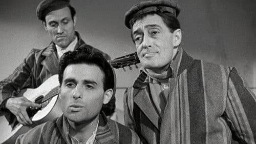 Wo ist die Freiheit? Bild 3