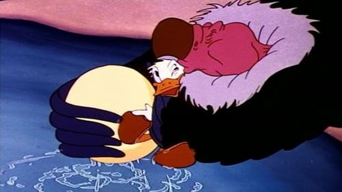 Der falsche Condor Bild 2