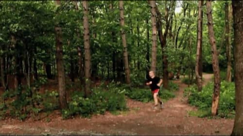 Why Do We Fall? Bild 5