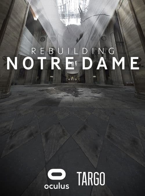 Rebuilding Notre Dame