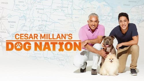 Cesar Millan's Dog Nation Bild 2