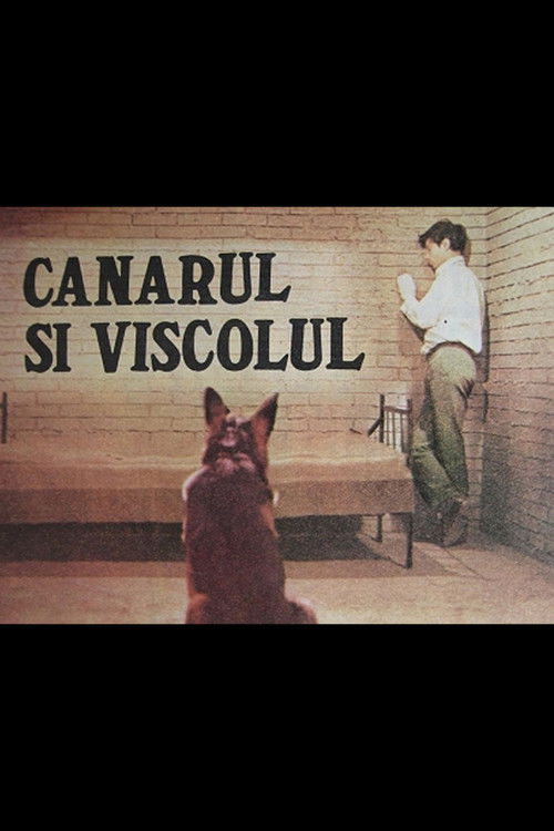 Canarul și viscolul