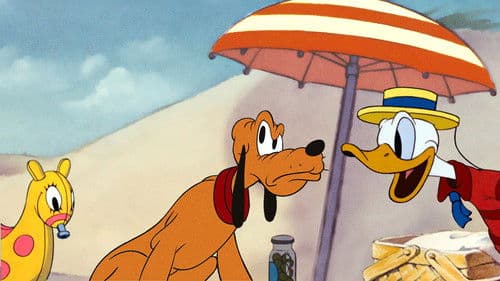 Picknick am Strand Bild 2