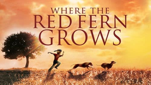 Wo der rote Farn wächst Bild 7