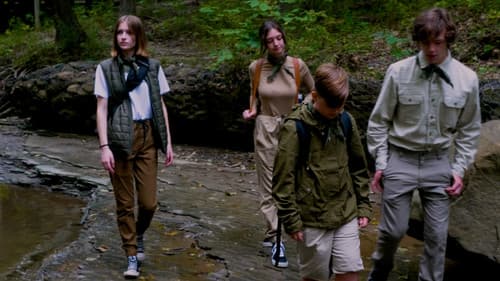 Hungarian Scouts Bild 4