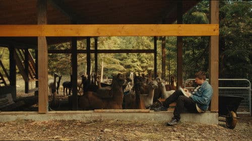 Preface to a History Bild 1