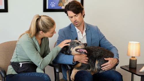 The Dog Lover's Guide to Dating Bild 4