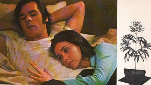 Dealing: Or the Berkeley-to-Boston Forty-Brick Lost-Bag Blues Bild 1