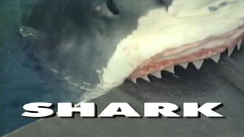 Predators of the Wild: Shark Bild 1
