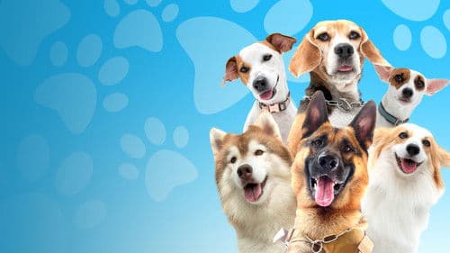 คุณตูบสายดาร์ก ปิดเมืองกัด Bild 1