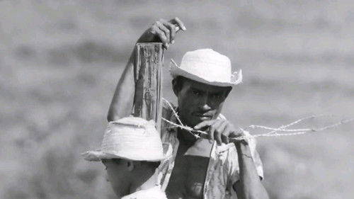 Maioria absoluta Bild 3