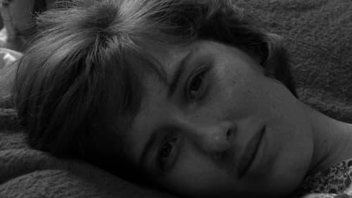 Spring Night, Summer Night Bild 2